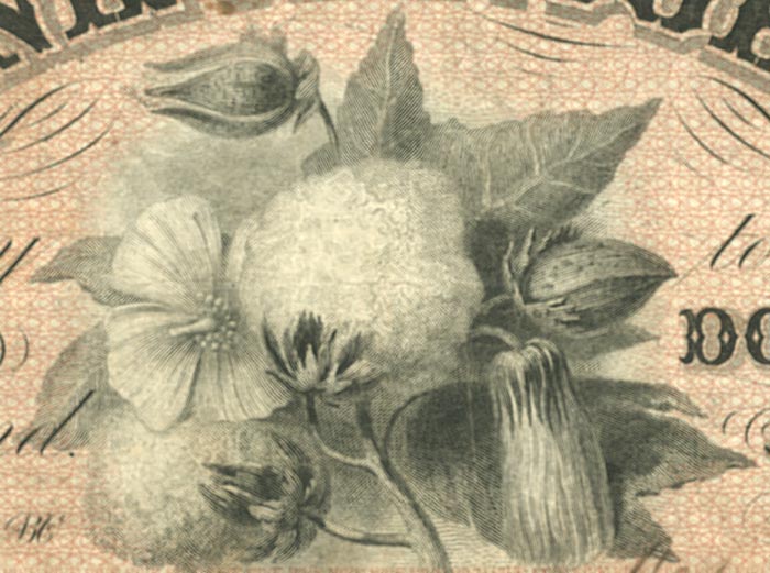 Five dollar bill