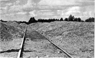 Rails to Treblinka