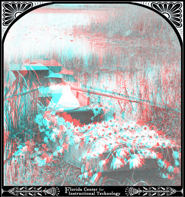 Where the Water Lilies Bloom in March&mdash;Florida, U.S.A.