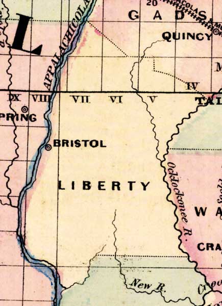 Map of Liberty County, Florida, 1877