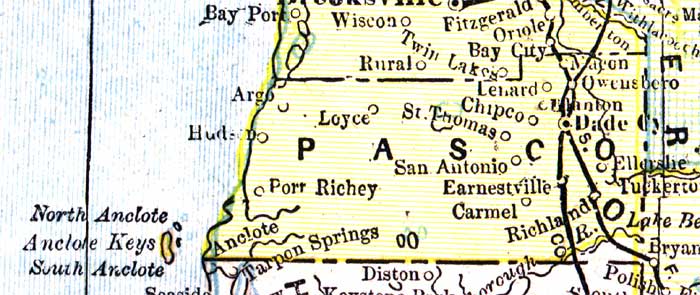 Map of Pasco County, Florida, 1890