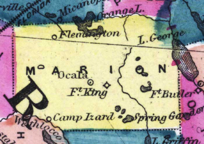 Map of Marion County, Florida, 1873