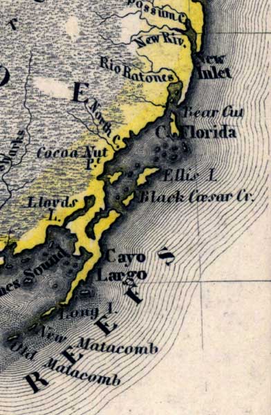 Map of Monroe County, Florida, 1845