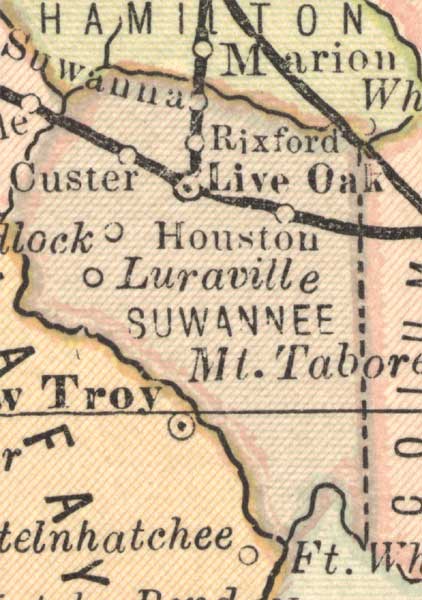Suwannee County, 1883