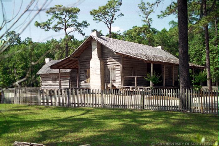 Side view