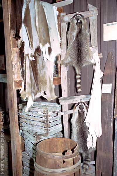 Animal skins