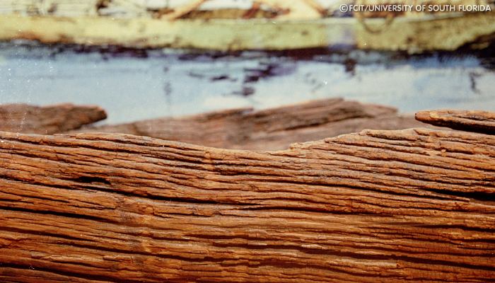 Dugout canoe