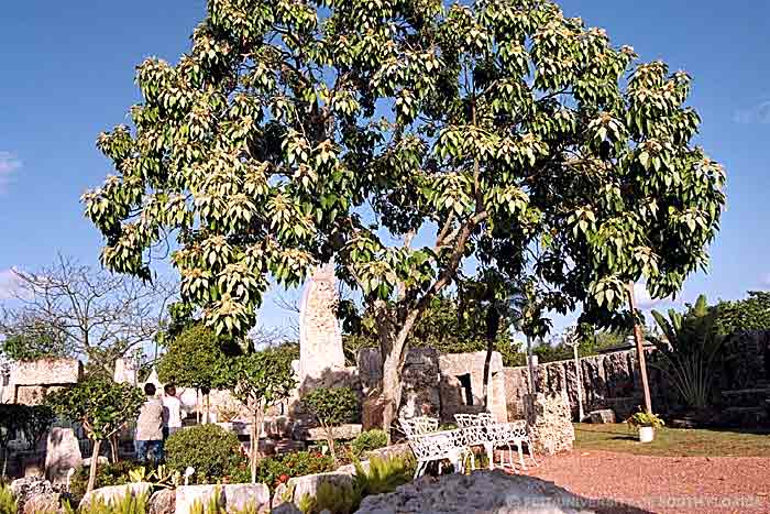 Interior view of Coral Castle