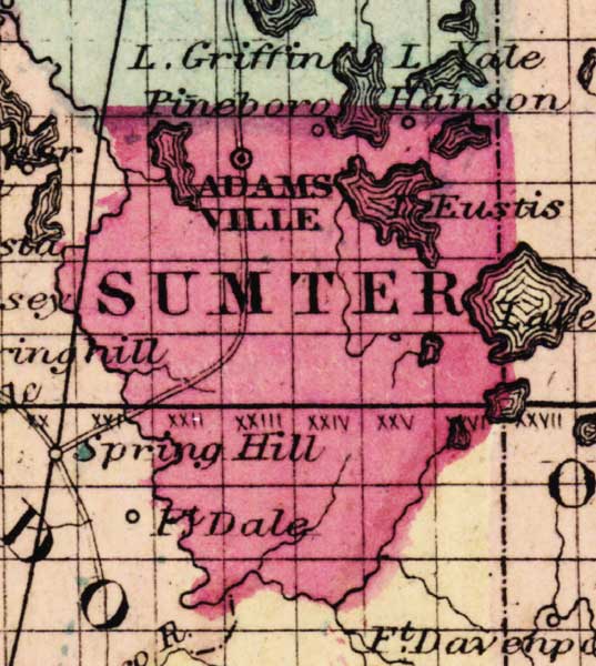 Map of Sumter County, Florida, 1863