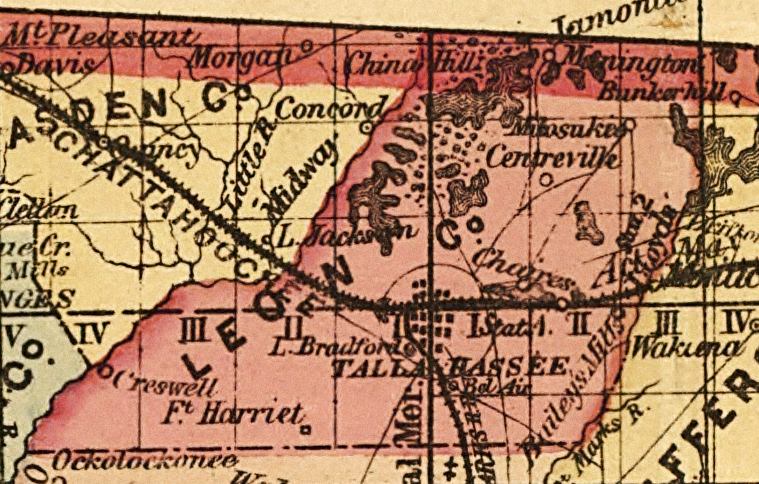 Map of Leon County, Florida, 1874