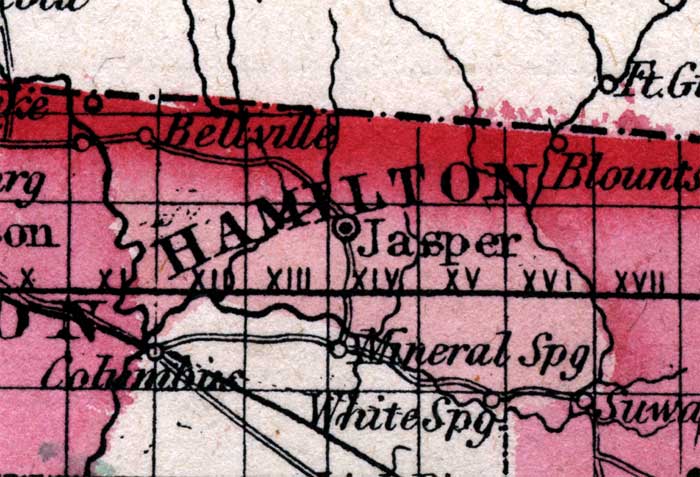 Map of Hamilton County, Florida, 1863