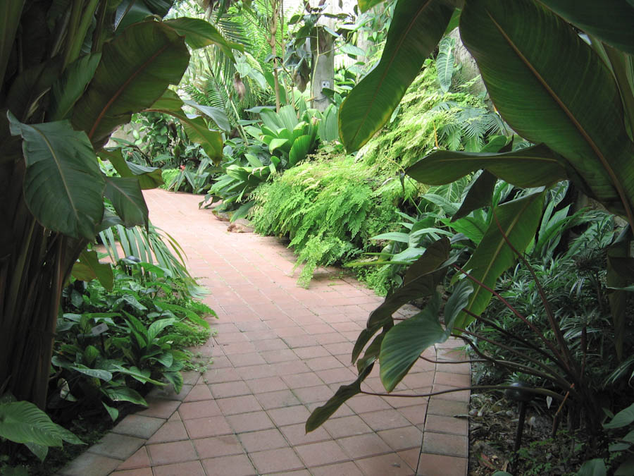 Along the Path through the Conservatory