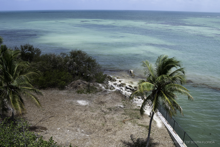 Sea Wall, Rocks and Palm Trees at the Entrance to the Bahia Honda Channel