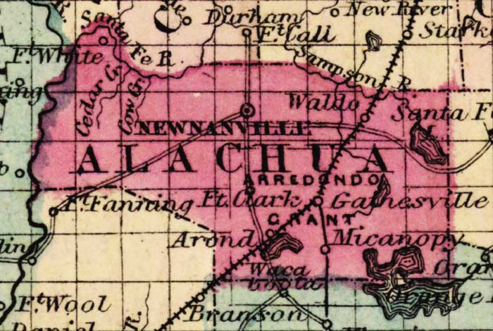 Map of Alachua County, Florida, 1863