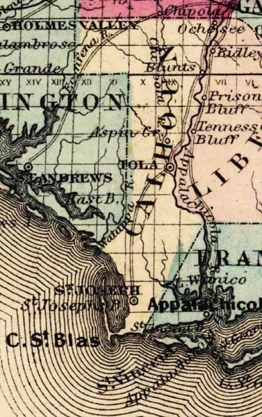Map of Calhoun County, Florida, 1863