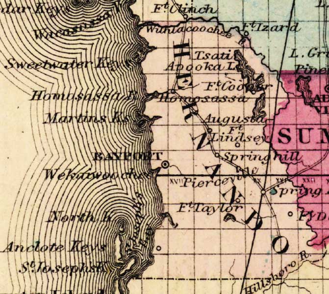 Map of Hernando County, Florida, 1863