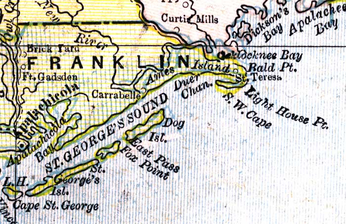 Map of Franklin County, Florida, 1890