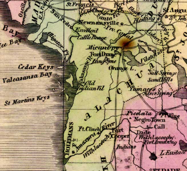 Map of Alachua County, Florida, 1842