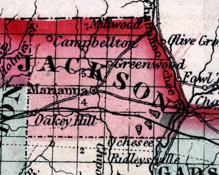 Map of Jackson County, Florida, 1863