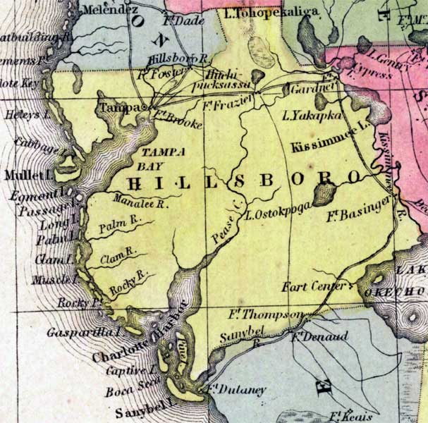 Map of Hillsborough County, Florida, 1850