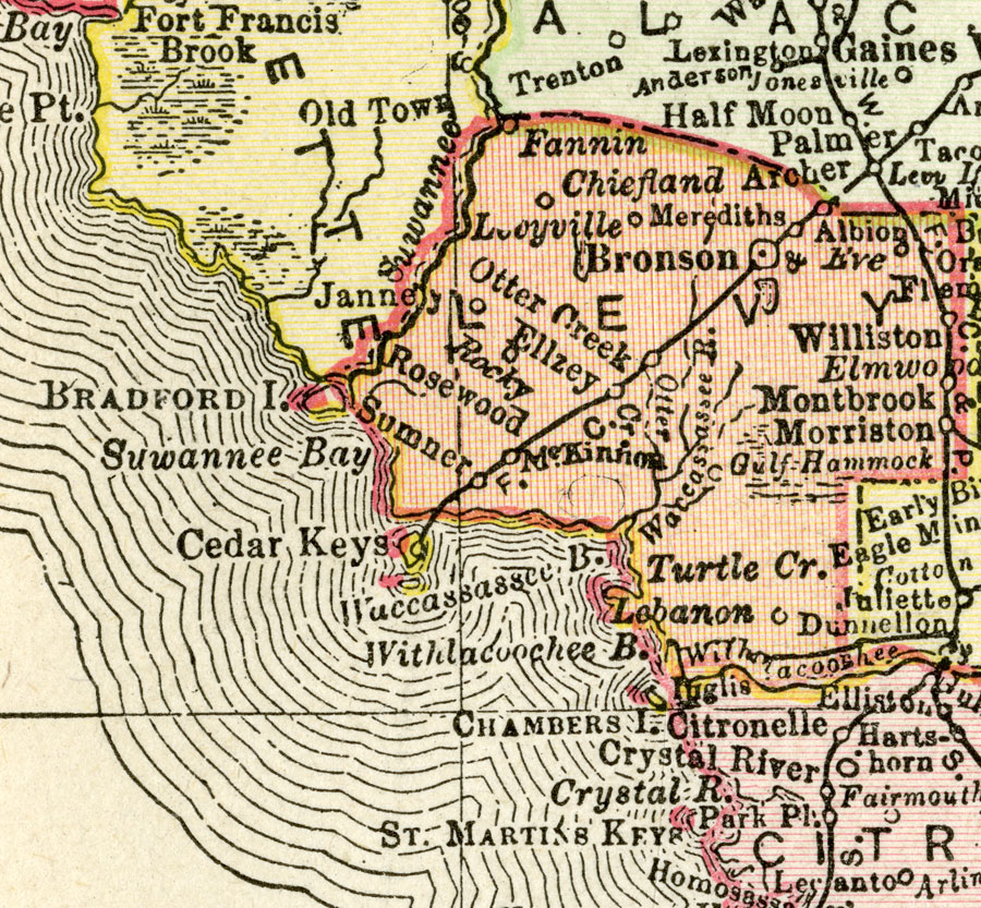 Levy County 1895