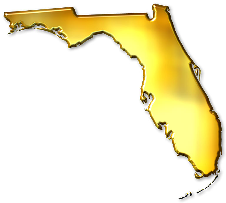 Florida "Abstract" Style Maps: #11 Gold Metallic