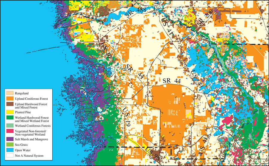 Withlacoochee River Watershed Distribution of Natural Systems - 1995- Citrus County
