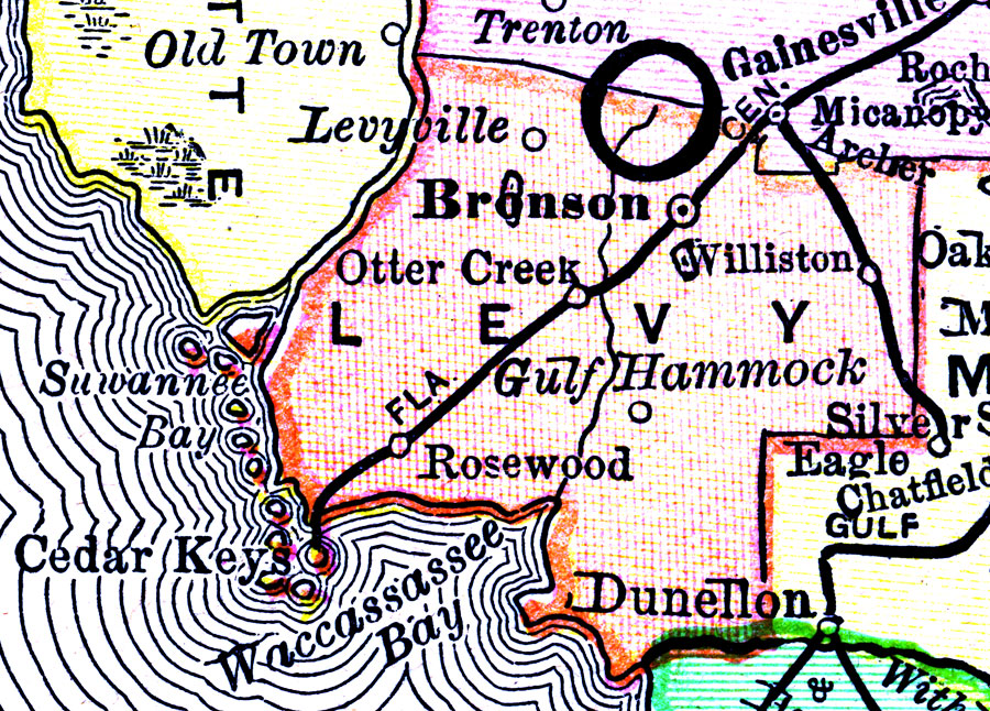 Levy County 1894