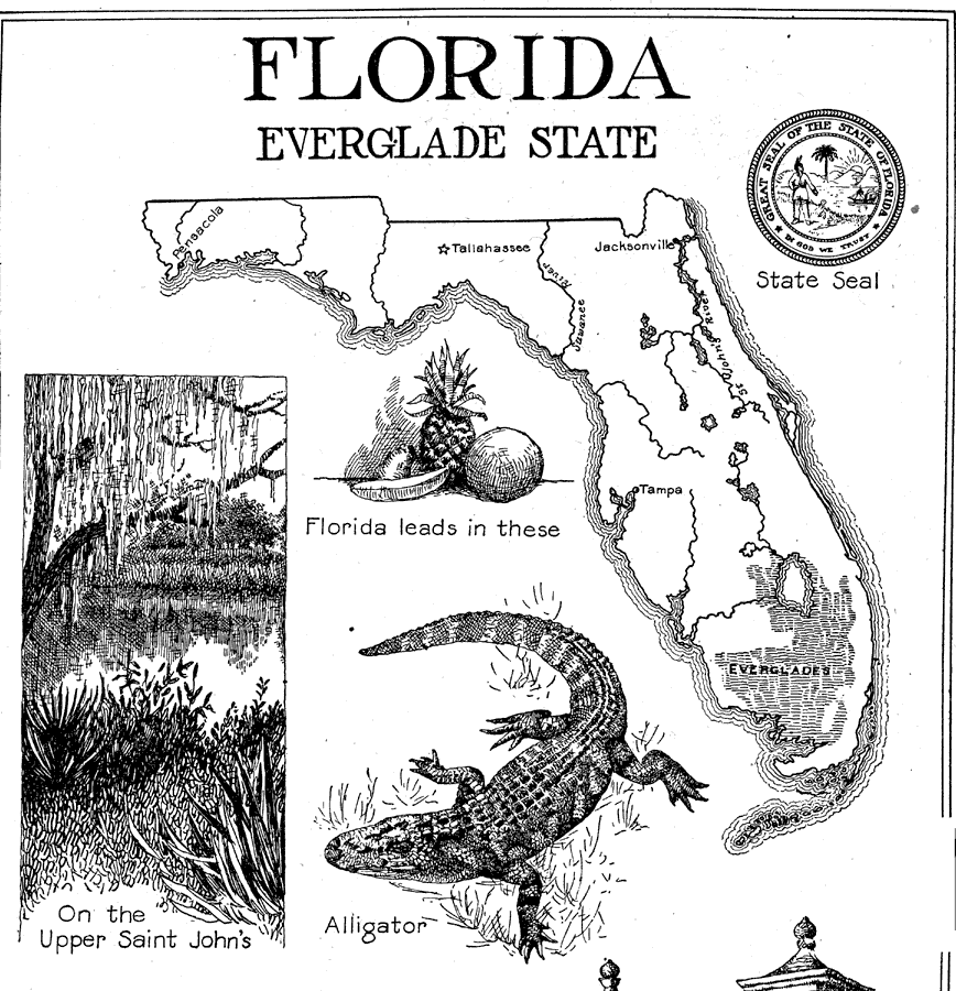 Florida: Everglade State