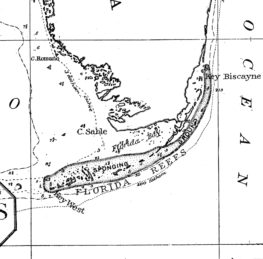 Sponging Grounds of the Coast of Florida