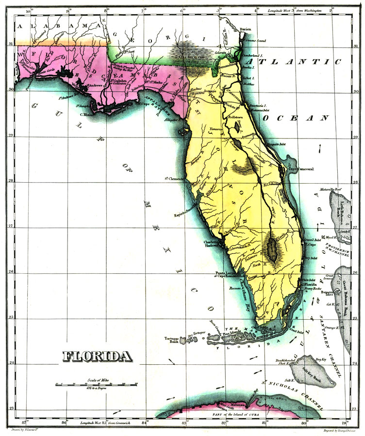 Geographical, Statistical, and Historical Map of Florida No. 37