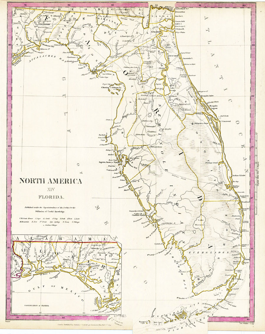 North America XIV, Florida
