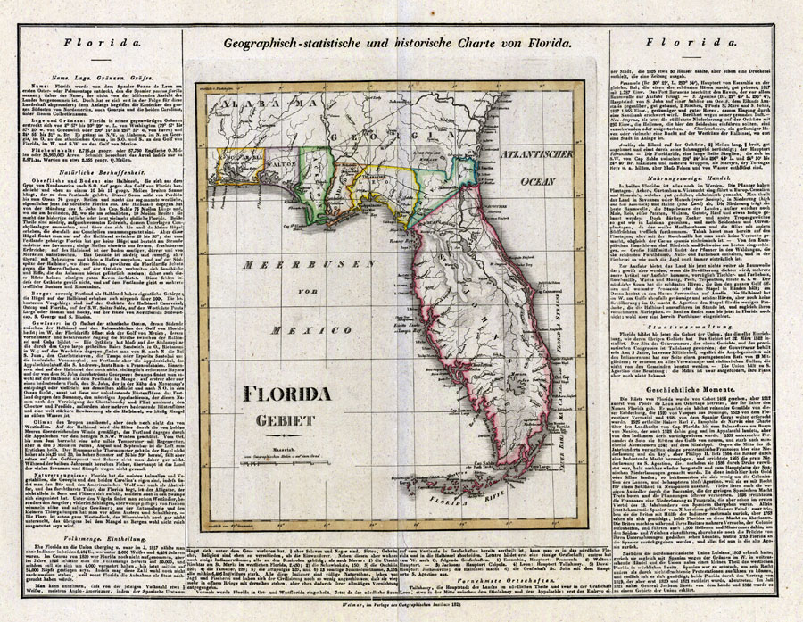 Geographisch-statistische und historische Charte von Florida