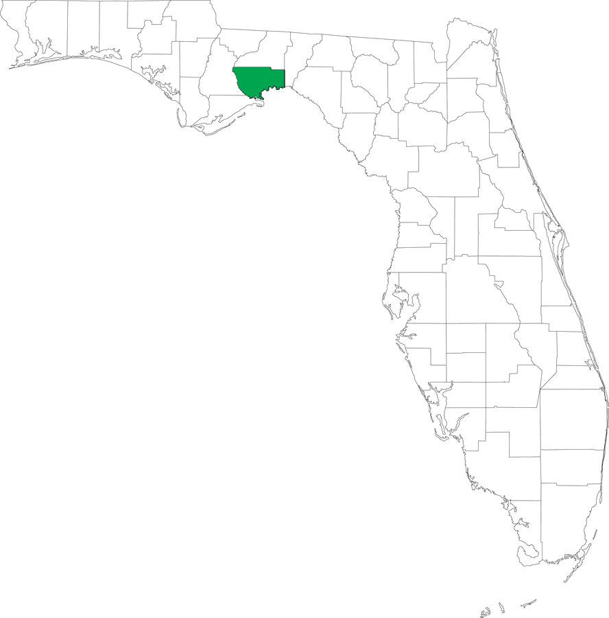 Locater Map of Wakulla County