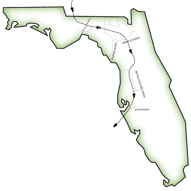 Route of de Soto through Florida