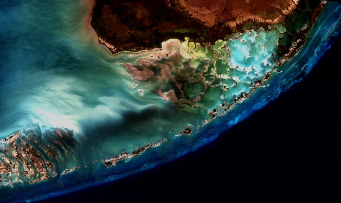 Florida Keys' Coral Community