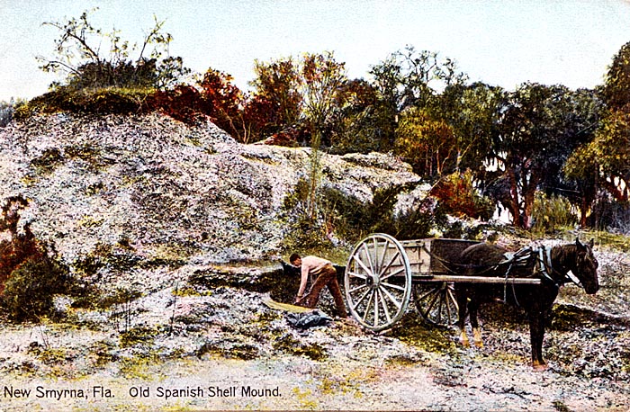 Spanish Shell Mound, New Smyrna, Florida