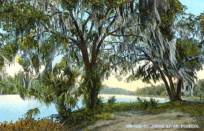 On the River, St. Johns River, Florida