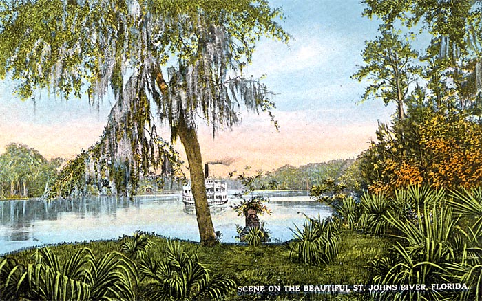 Scene on the Beautiful River, St. Johns River, Florida