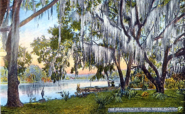 Beautiful St. Johns, St. Johns River, Florida