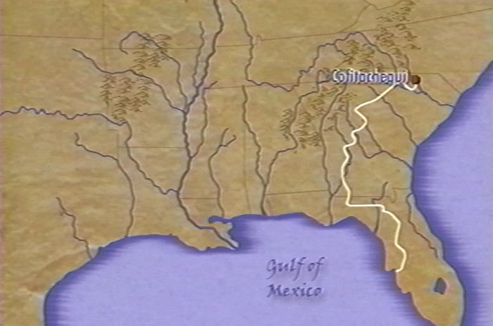 Map showing Cofitachequi