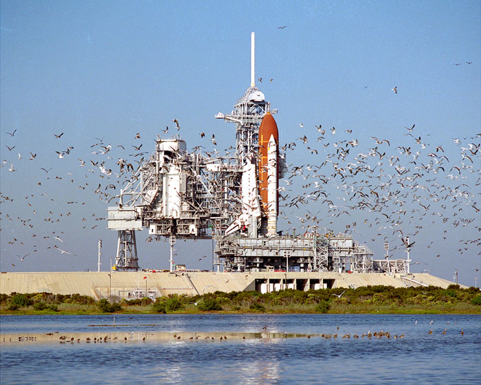 STS-27 Rollout