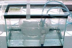 photo of plastic cover over aquarium