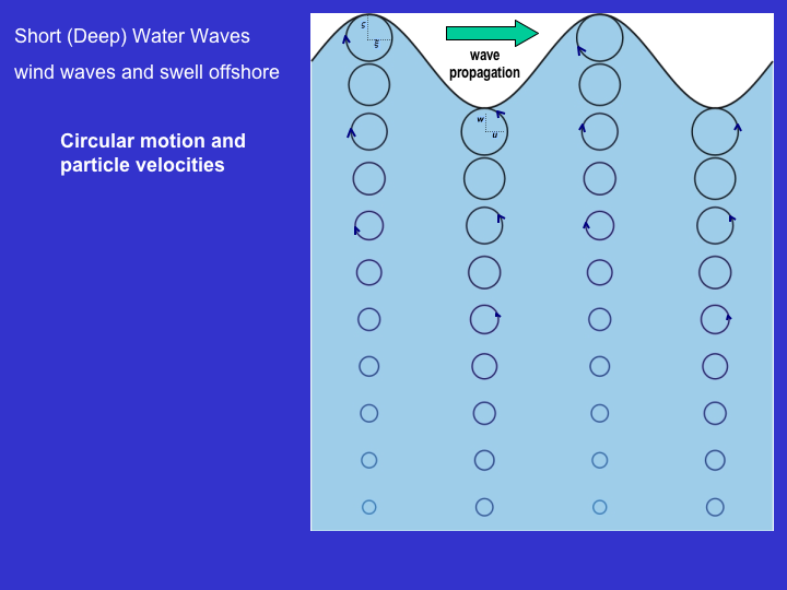 figure showing the circular trajectories of water particles in short waves