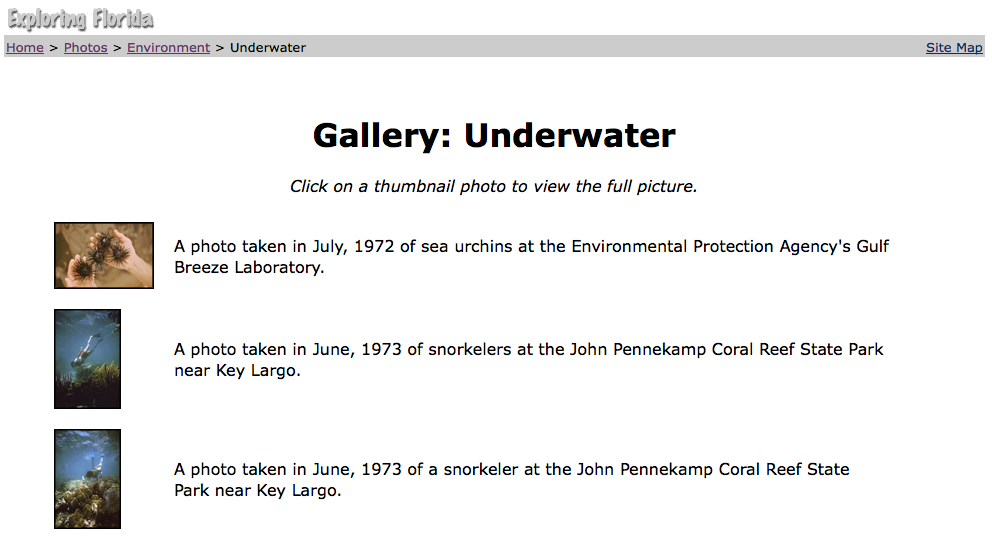 Underwater Photo Gallery