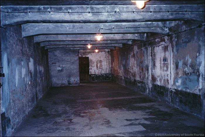 nazis gas chambers