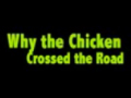 Why The Chicken Crossed The Road