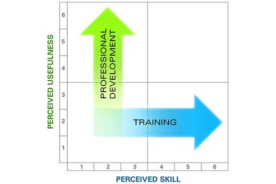 Perceived Skill and Usefulness