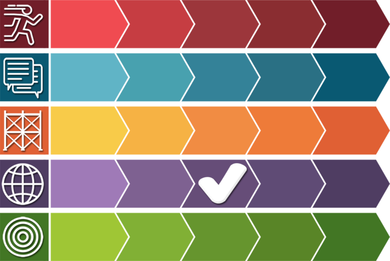 Color Matrix Authentic Adaptation Checked TIM