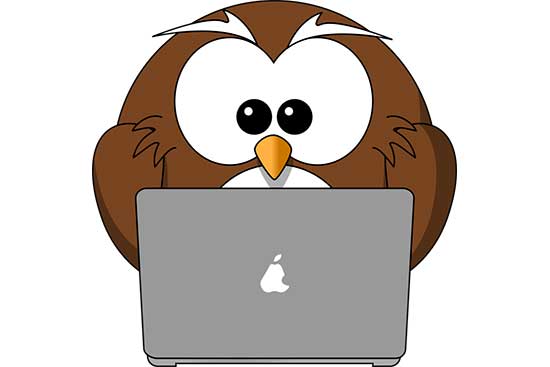 Cartoon Owl and Laptop